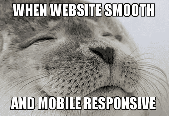 mobile responsiveness